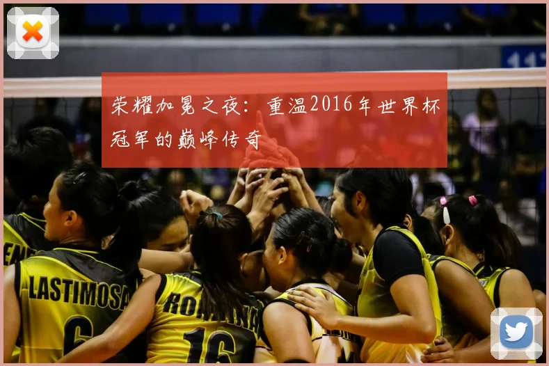 荣耀加冕之夜：重温2016年世界杯冠军的巅峰传奇