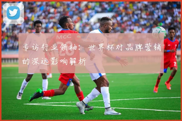 专访行业领袖:世界杯对品牌营销的深远影响解析