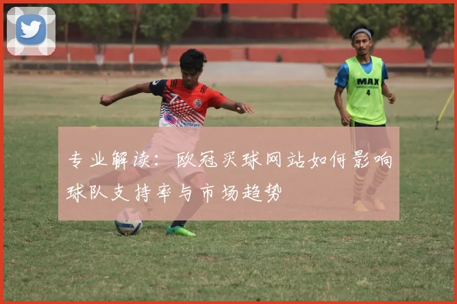 专业解读：欧冠买球网站如何影响球队支持率与市场趋势
