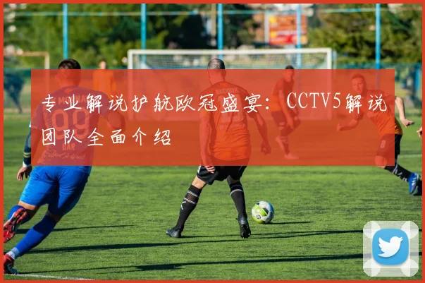 专业解说护航欧冠盛宴：CCTV5解说团队全面介绍