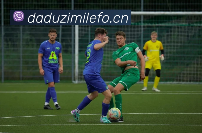 多媒体互动体验